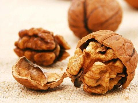 Orzech włoski JACEK w doniczce