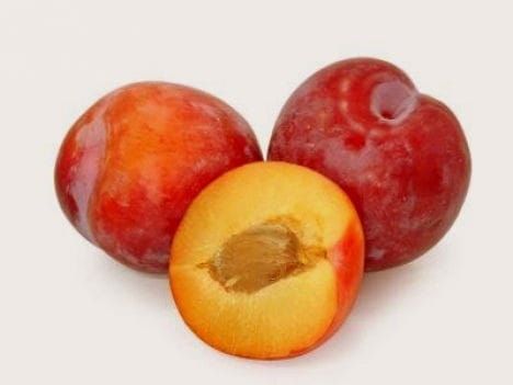 Śliwa RENKLODA ALTHANA