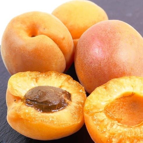 Morela PÓŹNA Z MORDEN