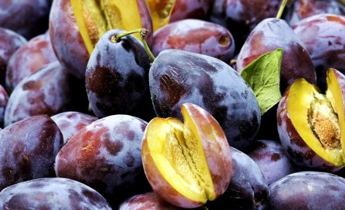 Śliwa PRESIDENT - karłowa