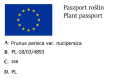 Nektarynka i Brzoskwinia na JEDNYM drzewie DUO