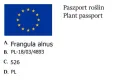 Kruszyna pospolita