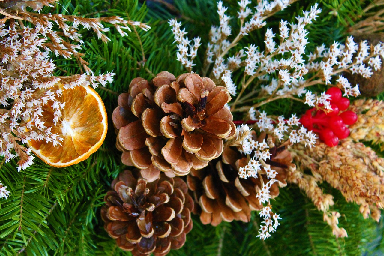 pixabay.com
